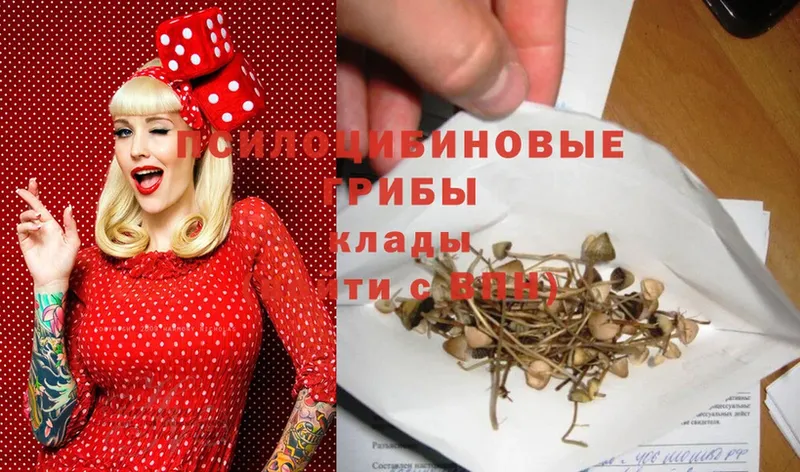 где продают наркотики  Арзамас  Галлюциногенные грибы Magic Shrooms 